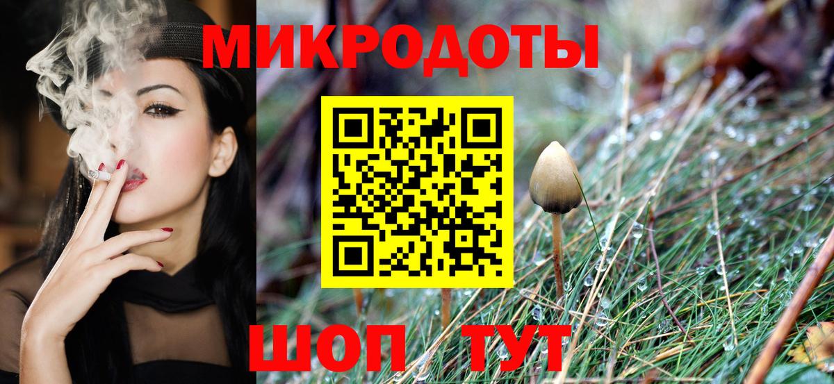 Псилоцибиновые грибы GOLDEN TEACHER  Вход с VPN  Тара 